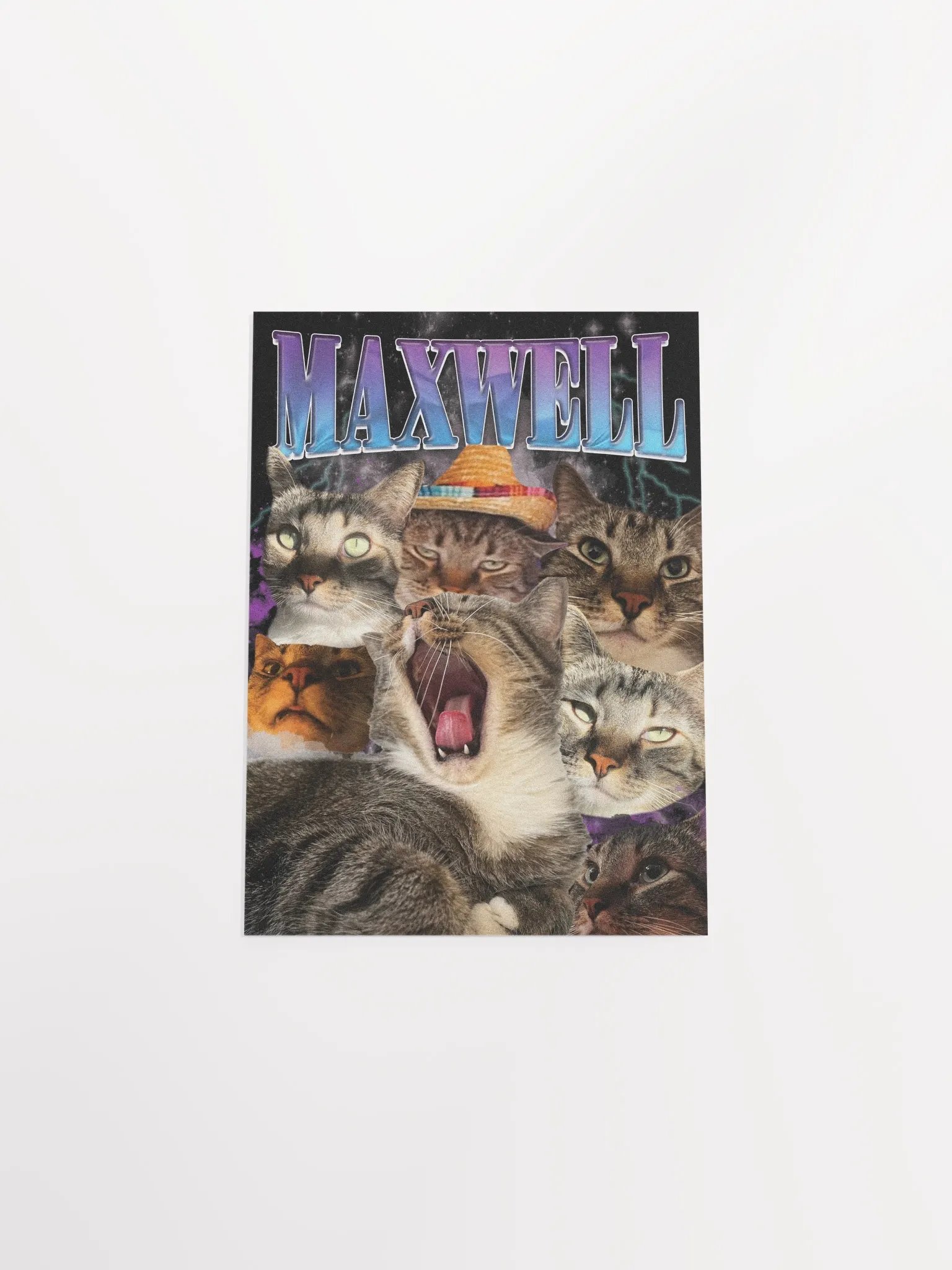Many Faces of Maxwell - Poster Edition product image (7)