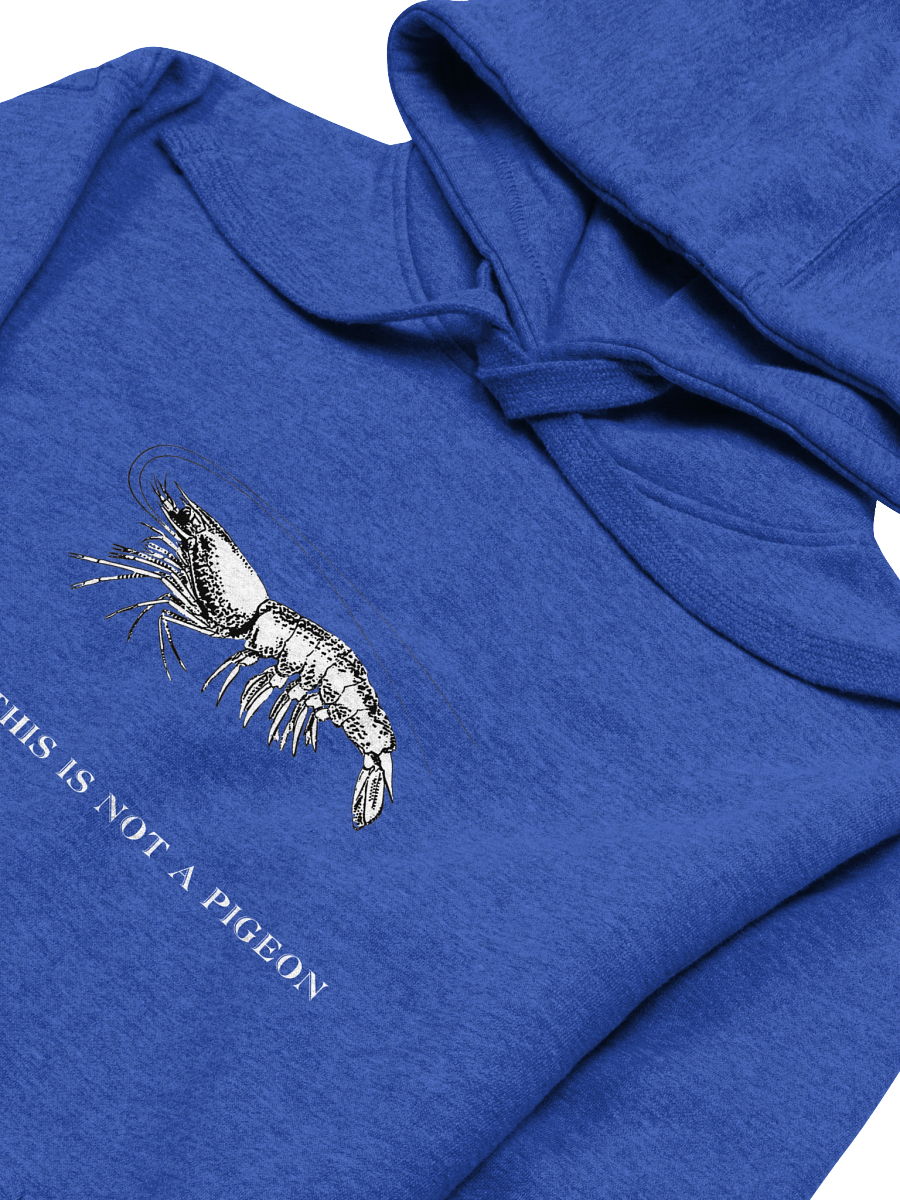 Not A Pigeon- Prawn Hoodie product image (27)