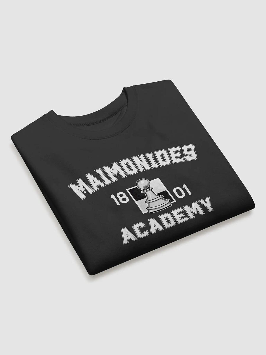 Maimonides Academy (No Back) - White Pawn - Sweater product image (3)