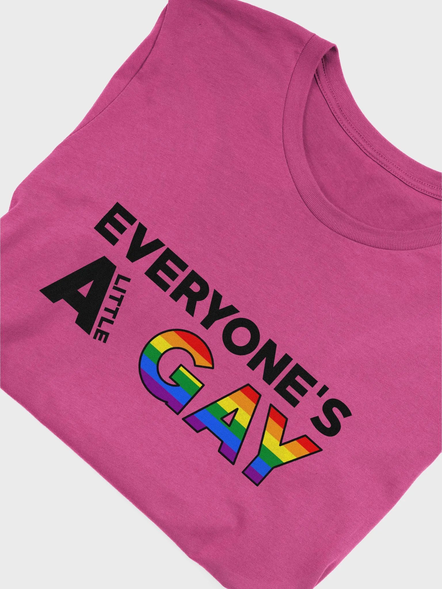 A little Gay T-Shirt product image (28)