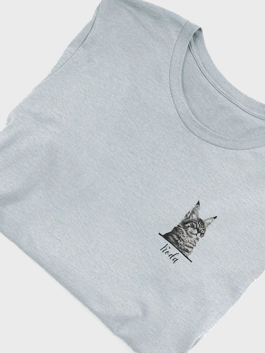 YOUR MAINE COON! / T-SHIRT WITH PERSONALIZED NAME product image (1)