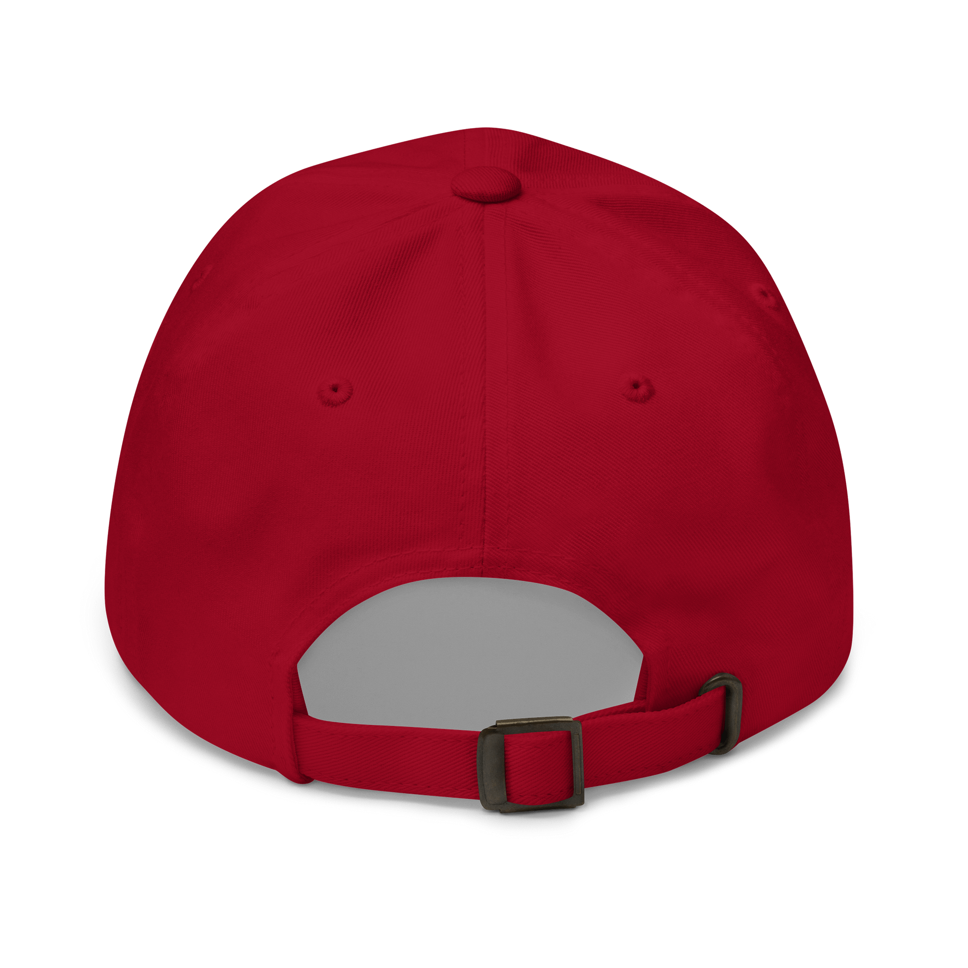 Dad Hat - Classic Logo. product image (6)