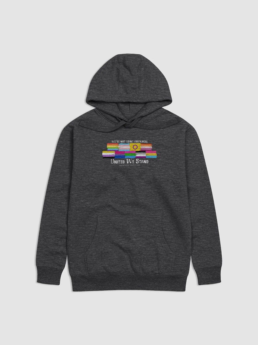 United We Stand - Hoodie product image (1)