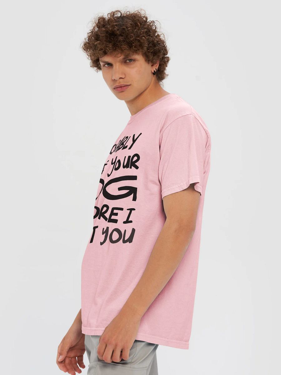 I'll Probably Greet Your Dog First Relaxed Tee product image (4)