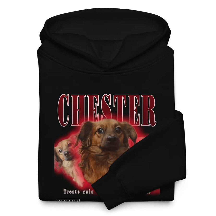 Chester Hip Hop Premium Oversized Hoodie product image (10)