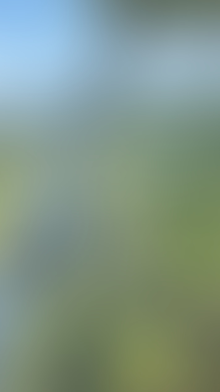 Video thumbnail background