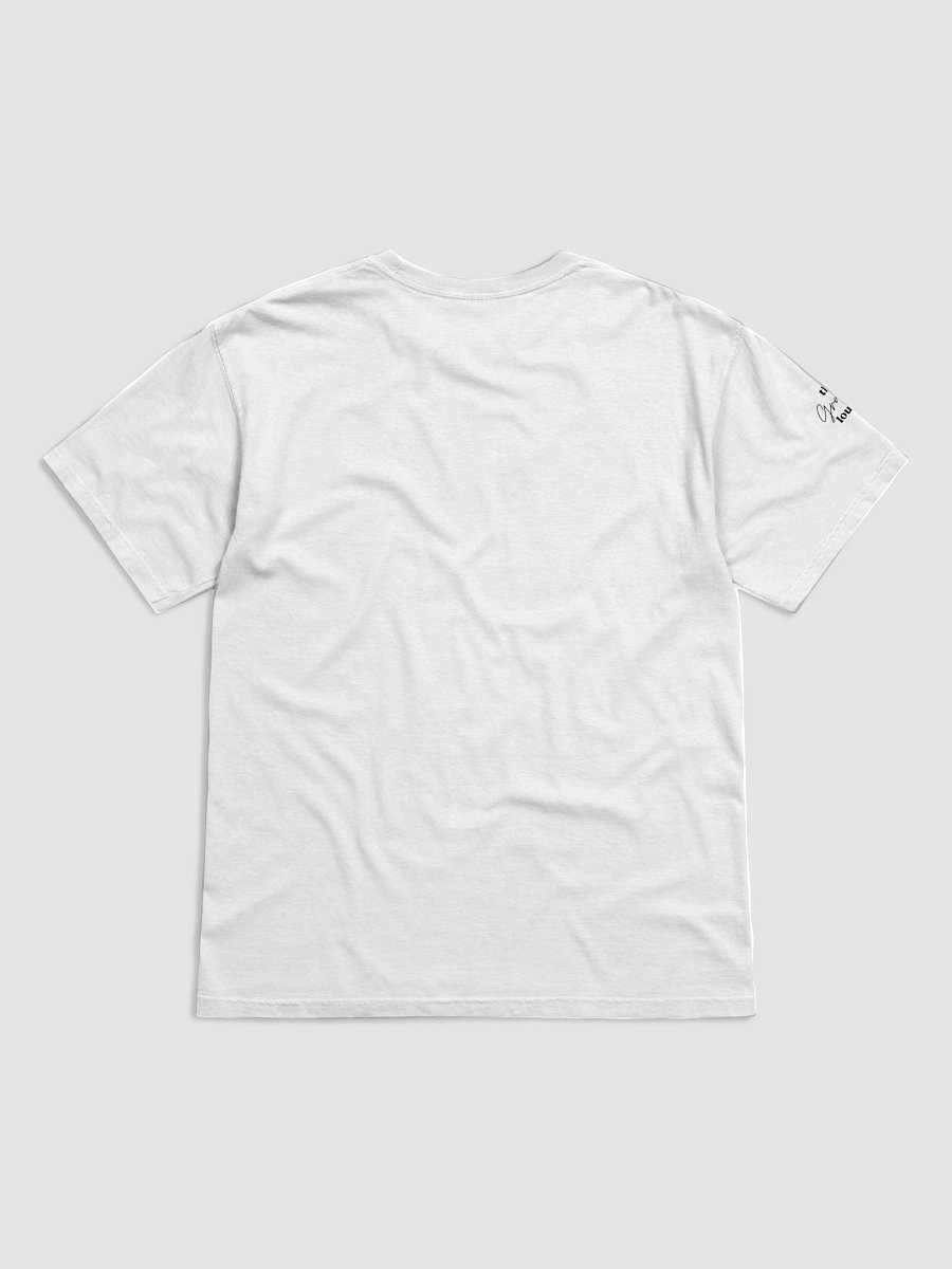 earth's assignment t-shirt product image (4)