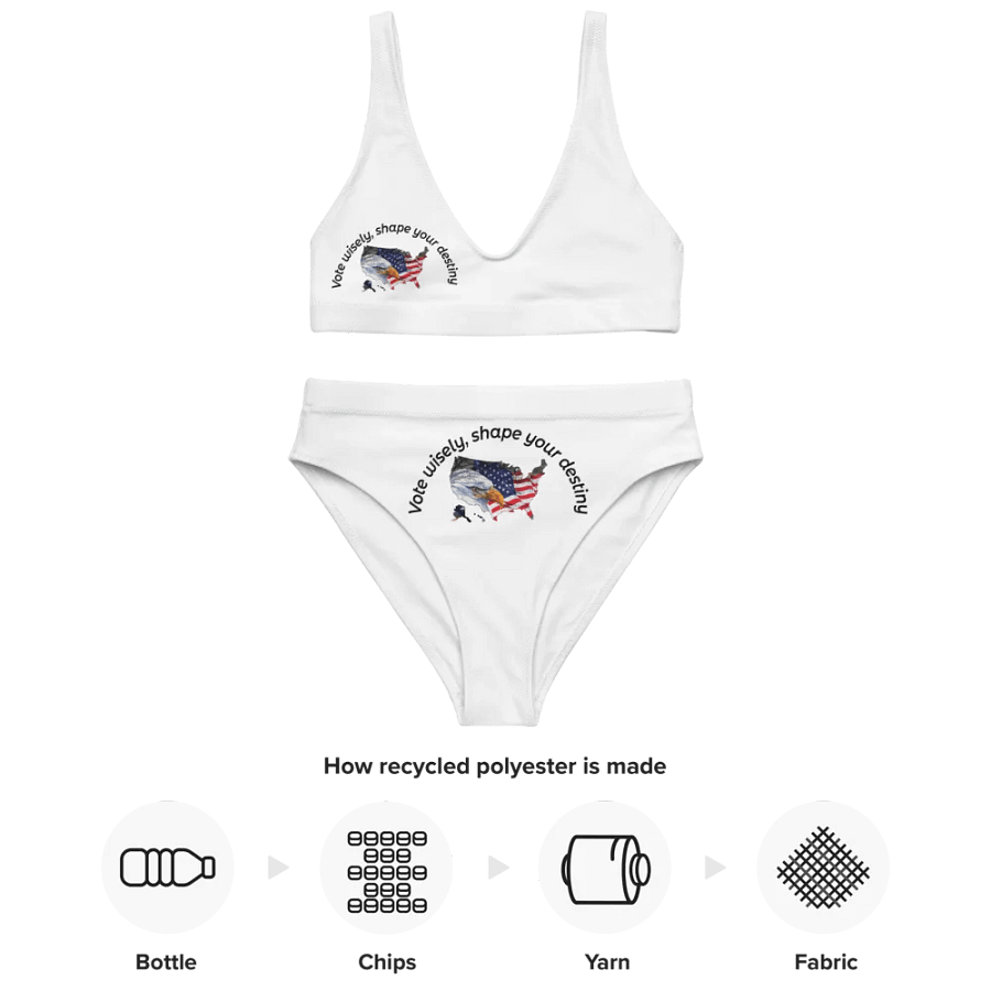 Vote wisely, shape your destiny. product image (4)