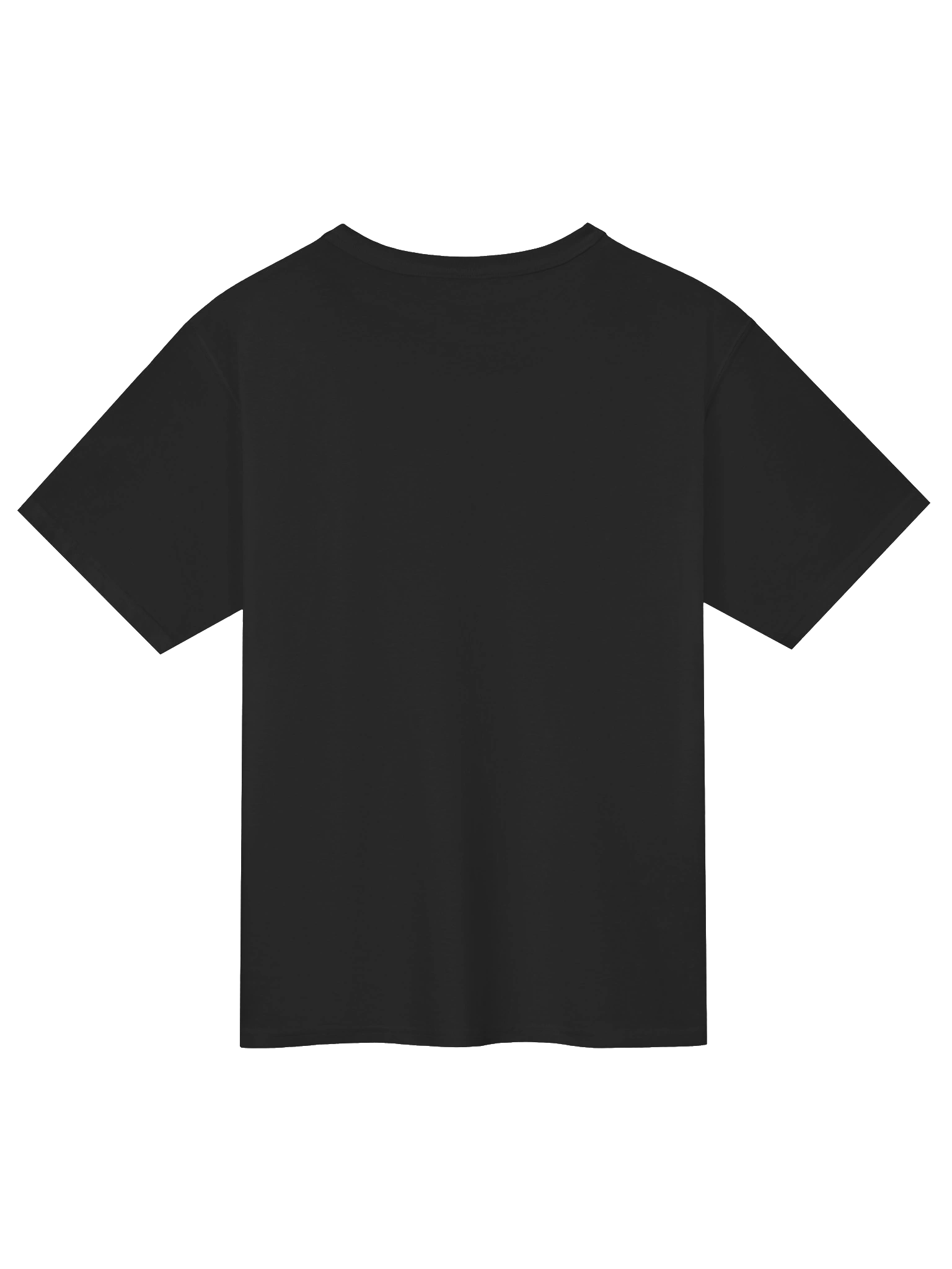 Hampan with the sunset T-shirt product image (6)