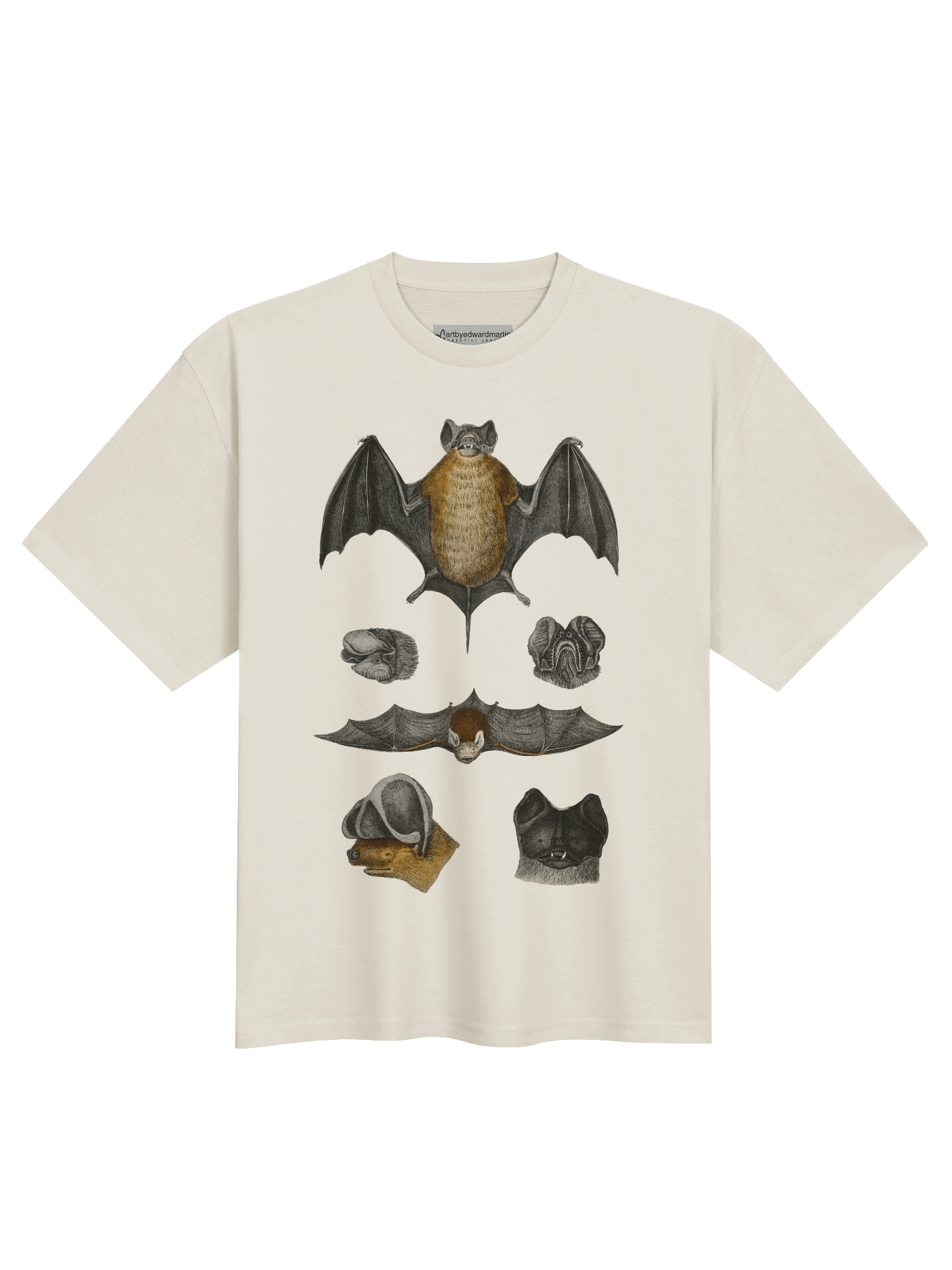 Bat Anatomy Oversized Tee product image (2)