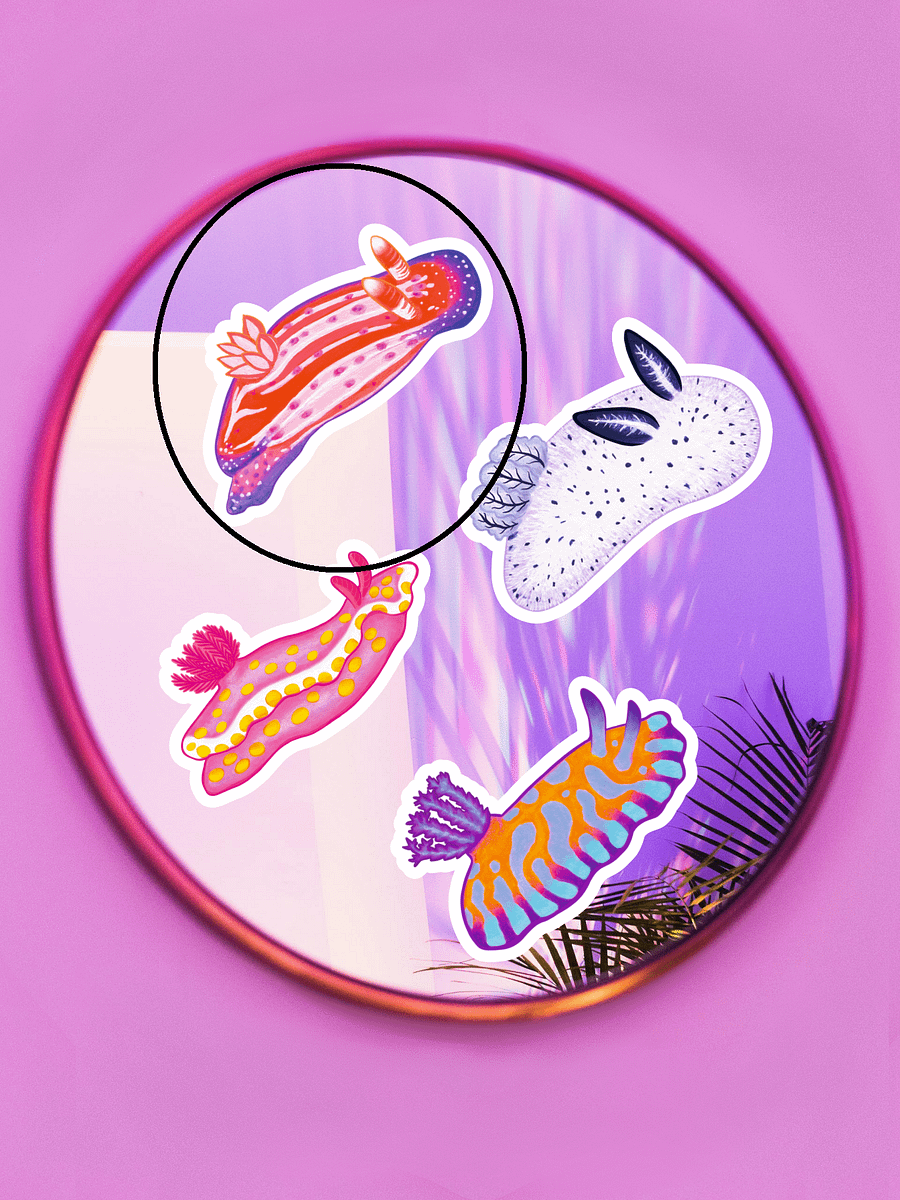 Sea Slugs: Set 1, Hypselodoris Maculosa - Magnet product image (2)