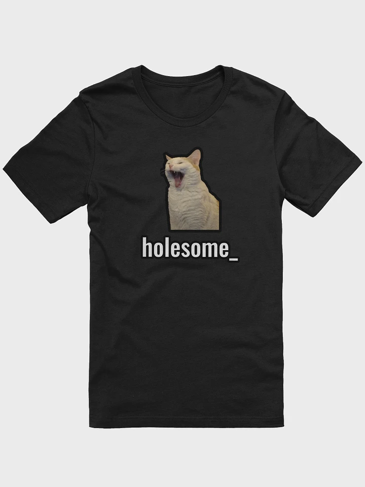 holesome Nico T Shirt product image (5)