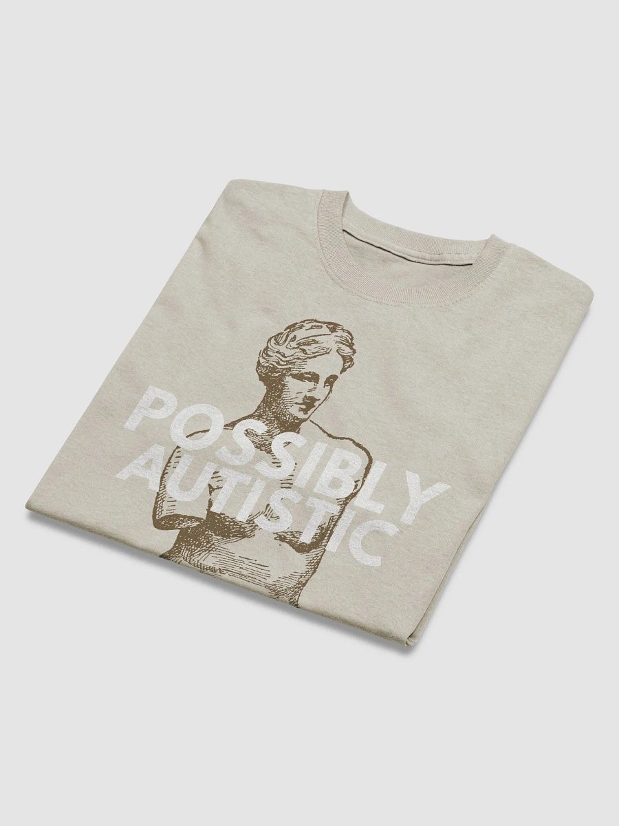 POSSIBLY AUTISTIC - SHIRT product image (6)