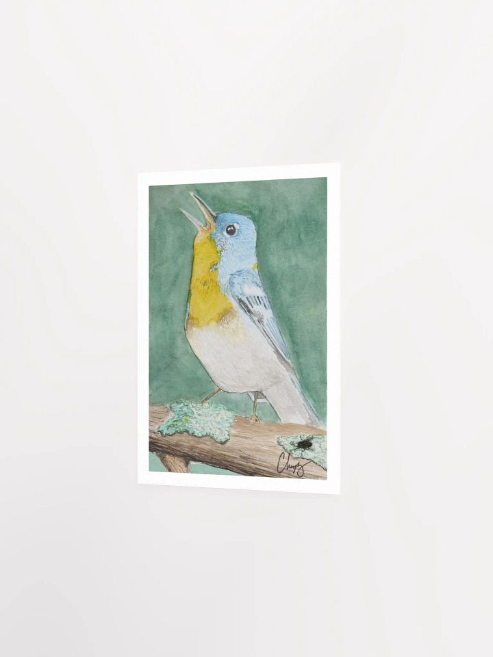 Northern Parula Warbler Print product image (2)
