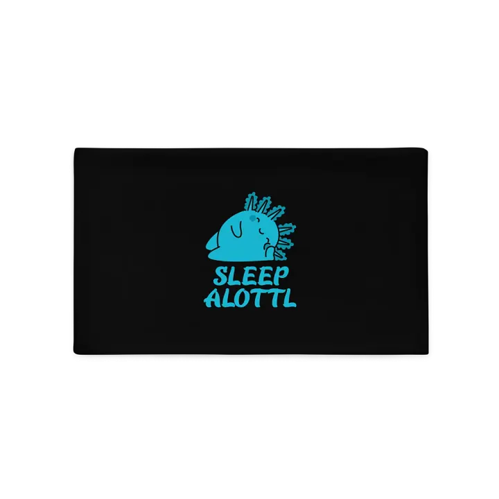 Sleep Alottl Kissenbezug product image (1)