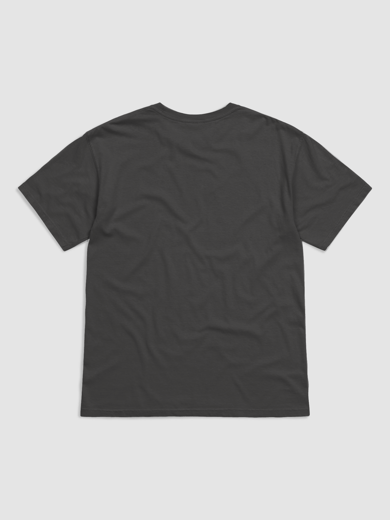 Rabbit in the Pine Granite Tee product image (2)