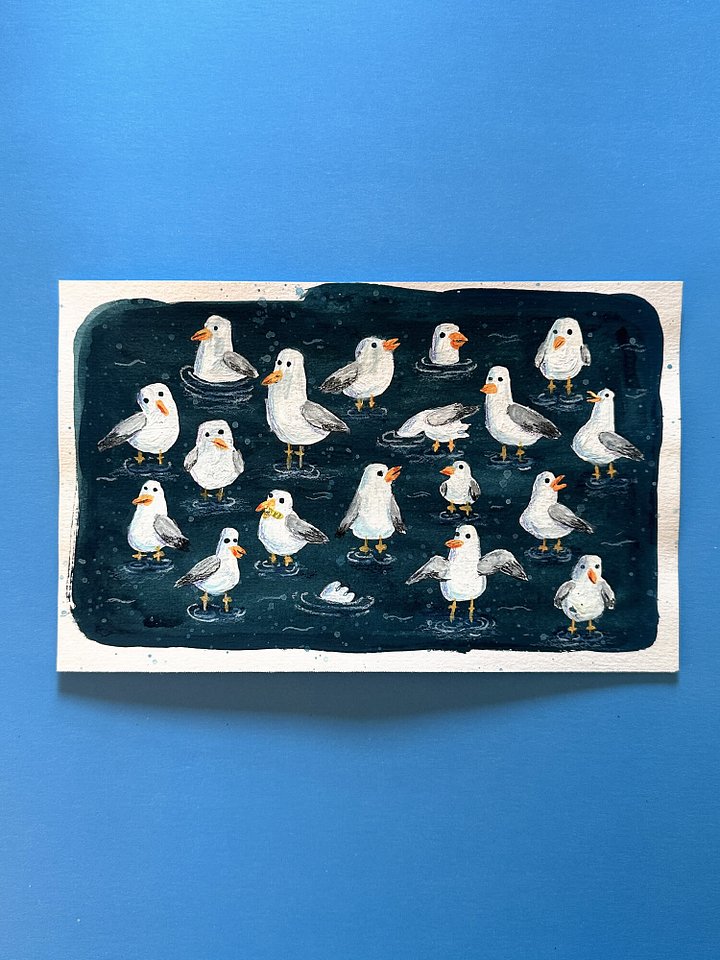 Oops! All seagulls. product image (1)