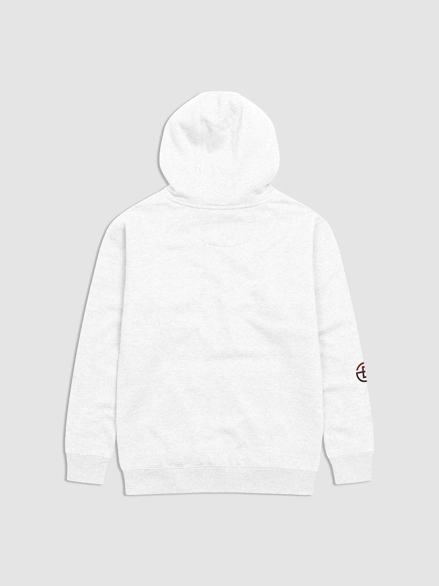 ITS THE TRUTH HOODIE product image (2)