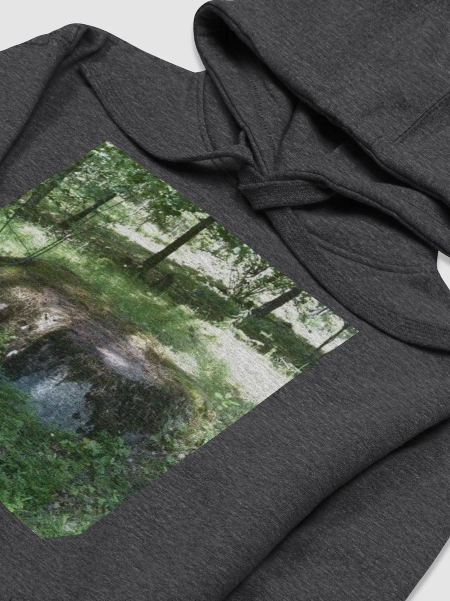 Rimas Zeimys hoodie product image (3)
