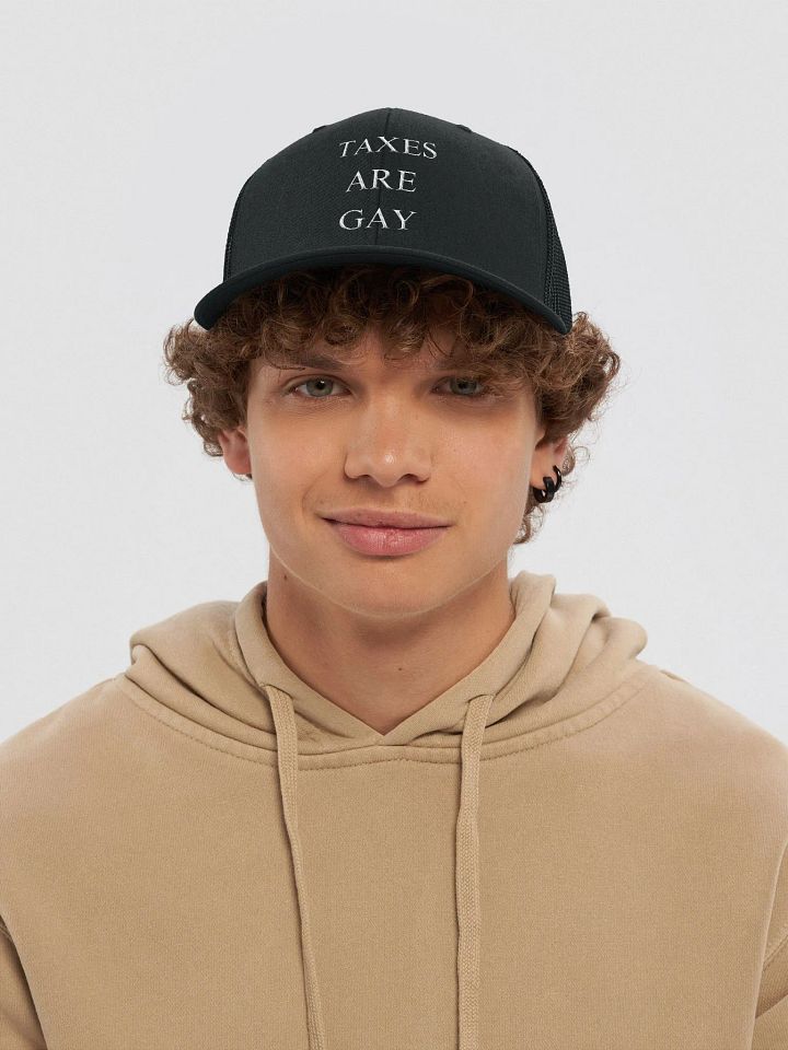 Taxes Are Gay Hat product image (1)
