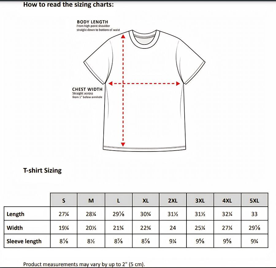 Ambrosial Aurora Organic Cotton Tee product image (3)