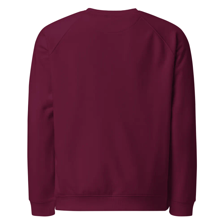 Spiral Capybara Organic Raglan Sweatshirt product image (10)