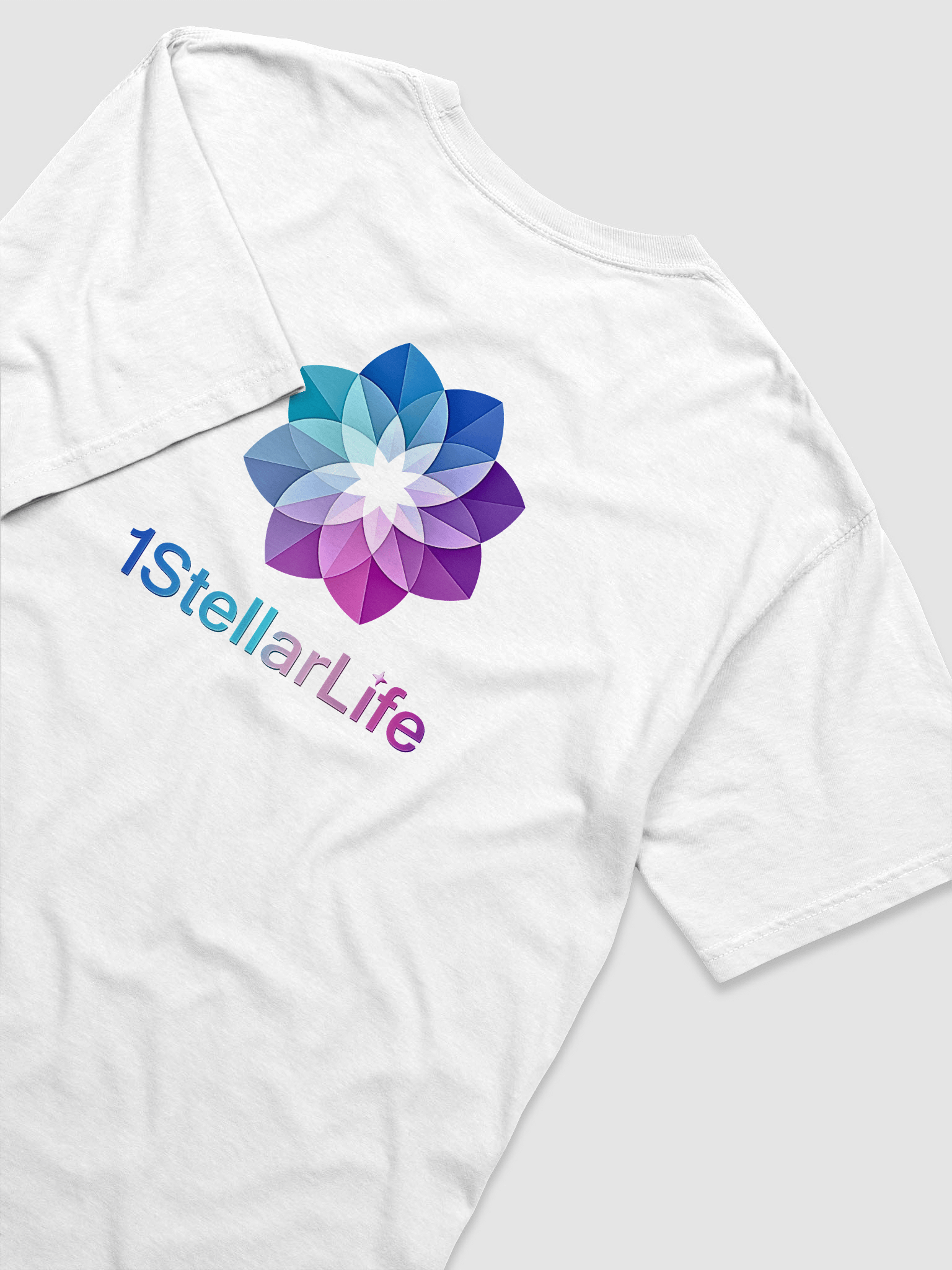 1StellarLife Heavyweight T-Shirt product image (4)