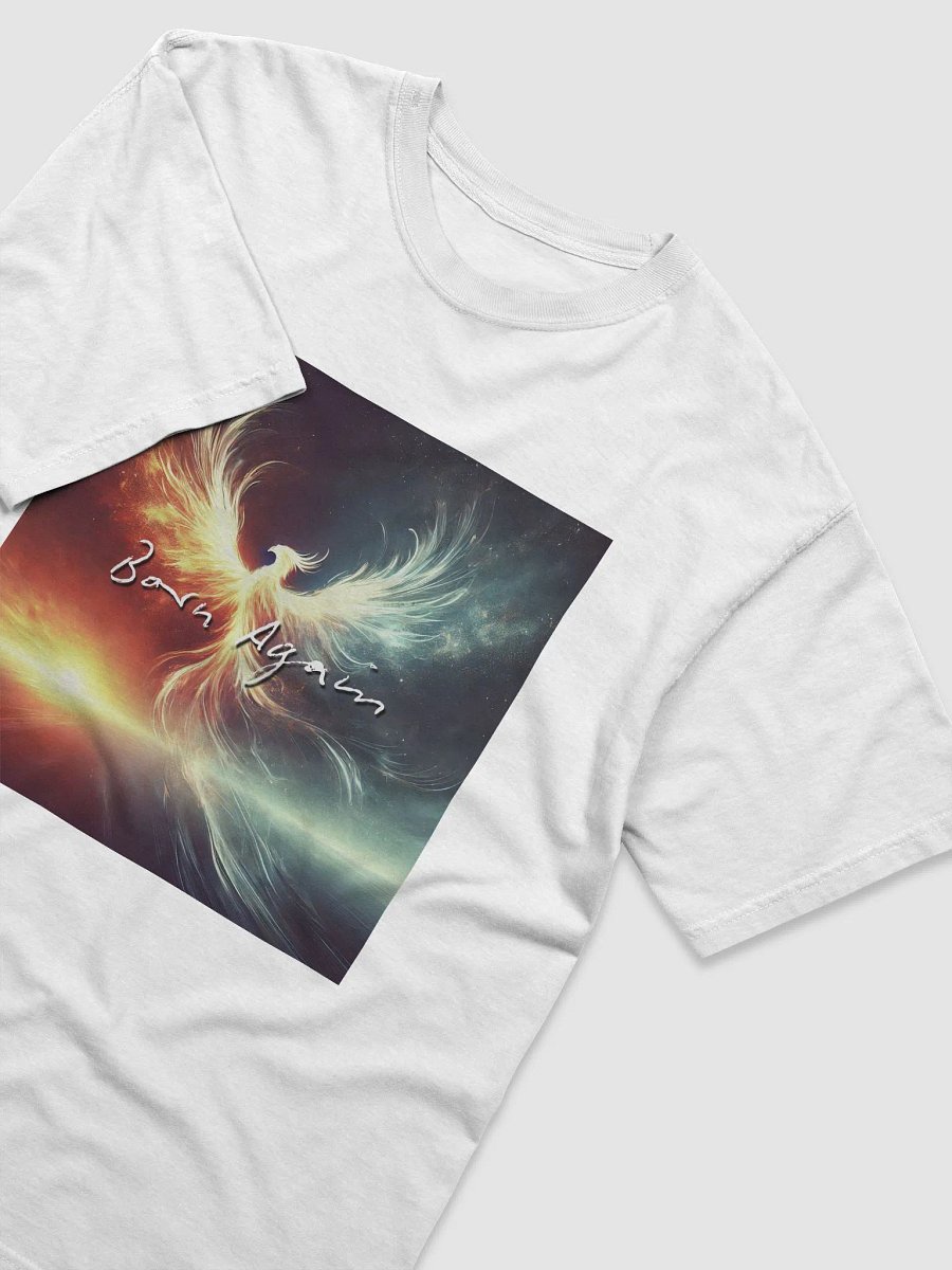 Born Again Comfort Heavyweight T-Shirt product image (6)