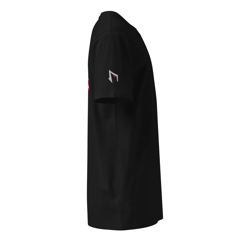 LIMITED EDITION FAM3SKOLL CDL TEAM SHIRT product image (4)