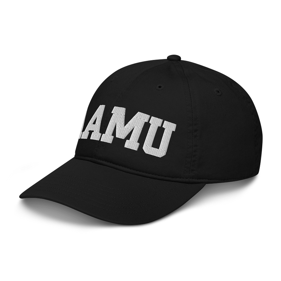 AAMU Organic Dad Hat by Econscious product image (4)