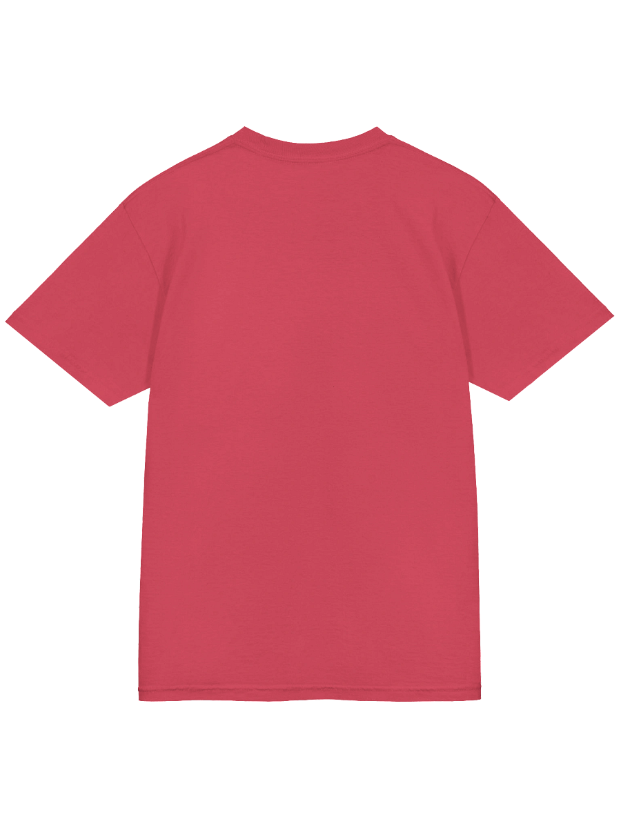 Handle with Care | Ferret T-Shirt product image (19)