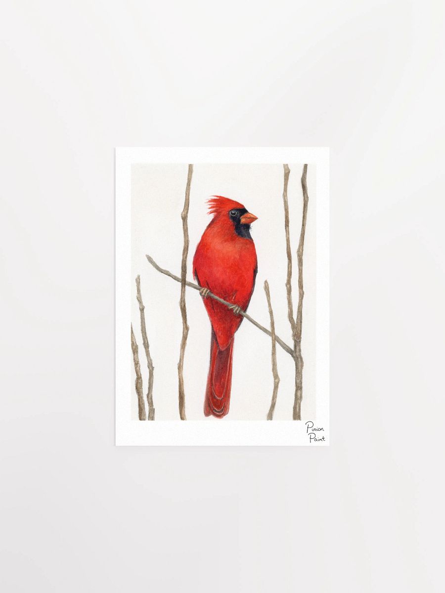 Cardinal print product image (1)