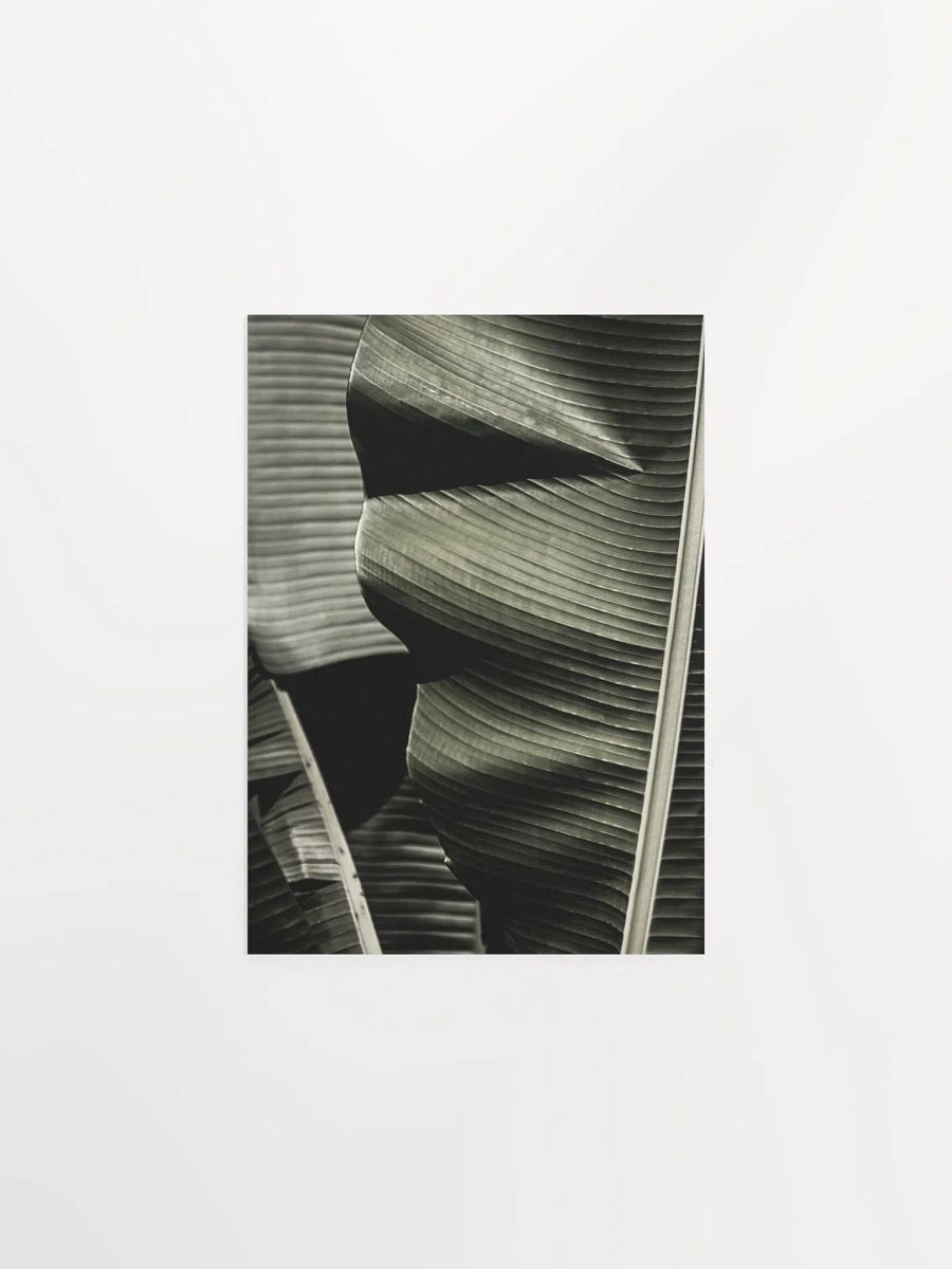 Banana Leaves Enhanced Matte Poster product image (2)