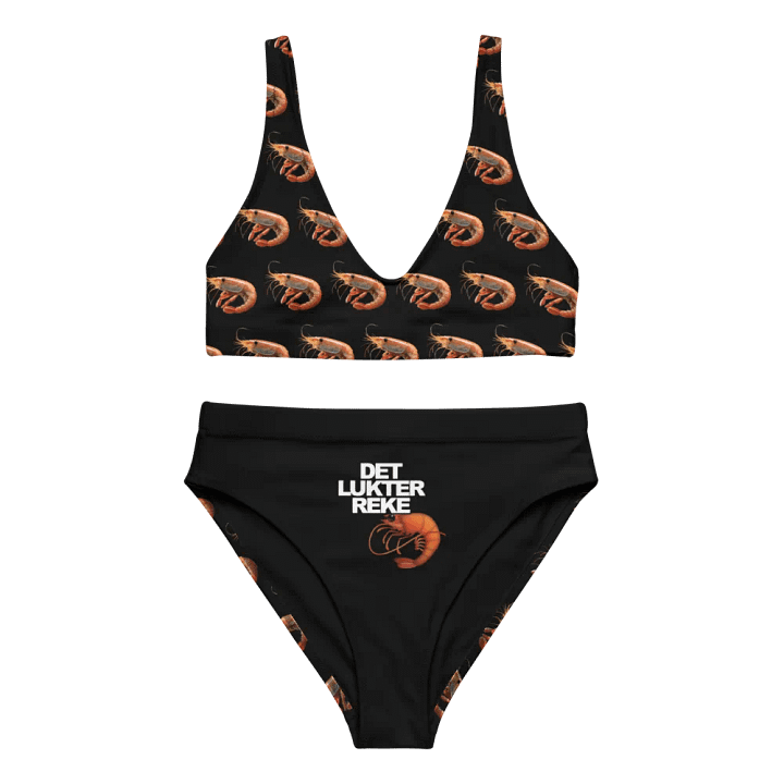 DET LUKTER REKE Bikini product image (1)