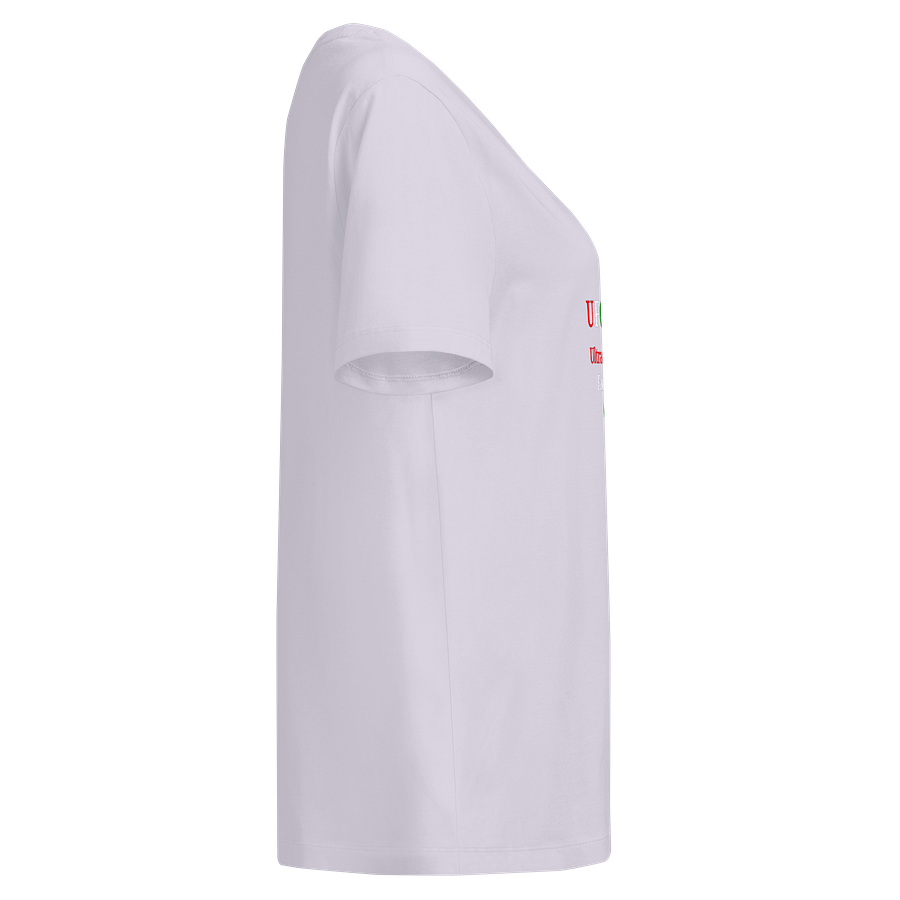 UFO Ultraconservative Family Oriented T-Shirt product image (4)