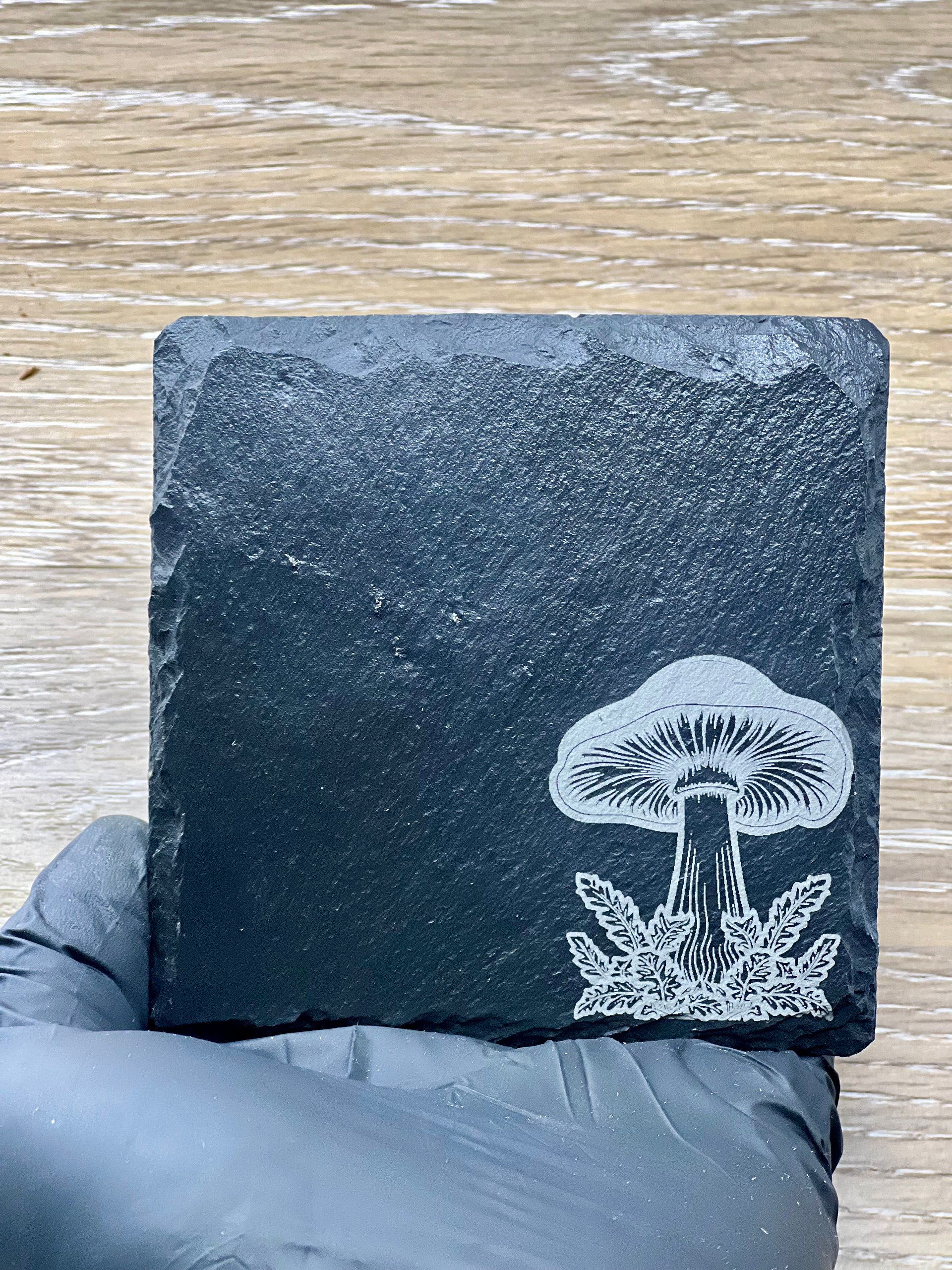 Mushroom Medley product image (2)