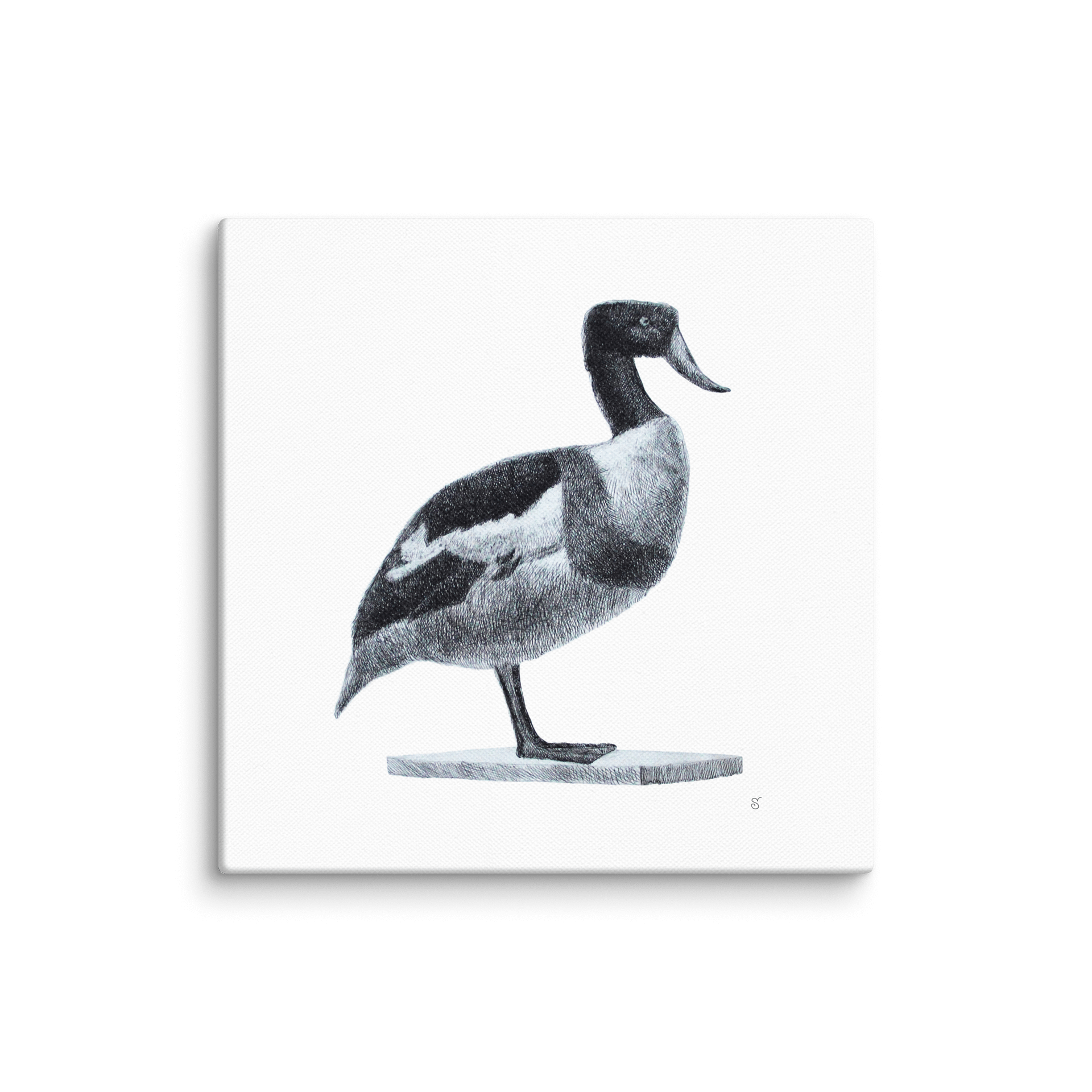 Blank Canvas: Unleash Your Artistic Vision - Duck product image (1)