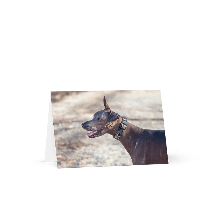 Akela at the beach - Greeting Card product image (1)