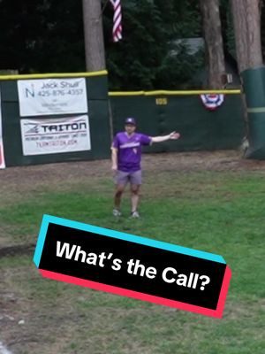 What’s the Call Here?🤔 #dingersornothing #wiffleball #baseball #foryou 