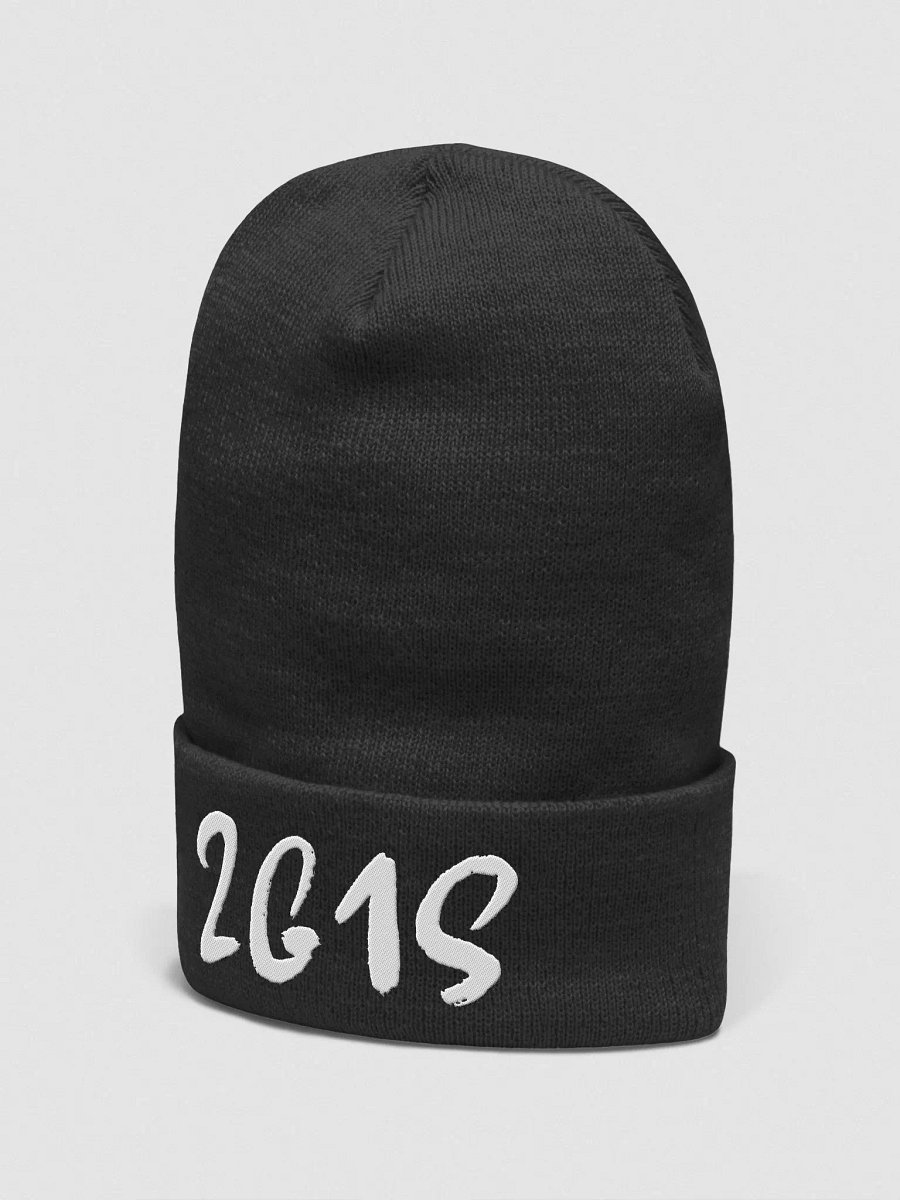 2G1S Beanie product image (10)