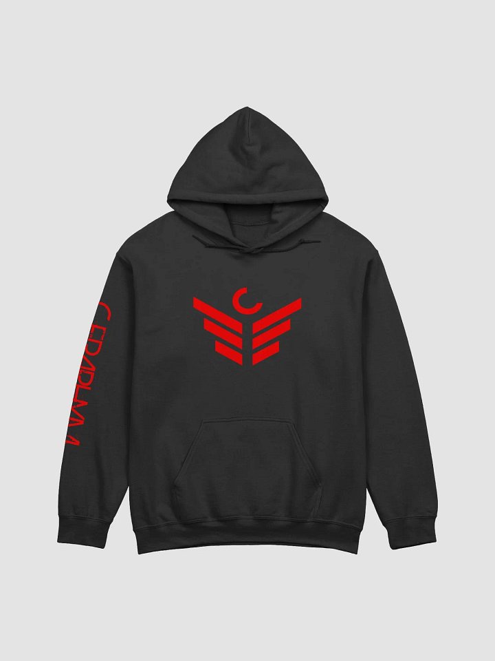 Divided Hoodie product image (1)