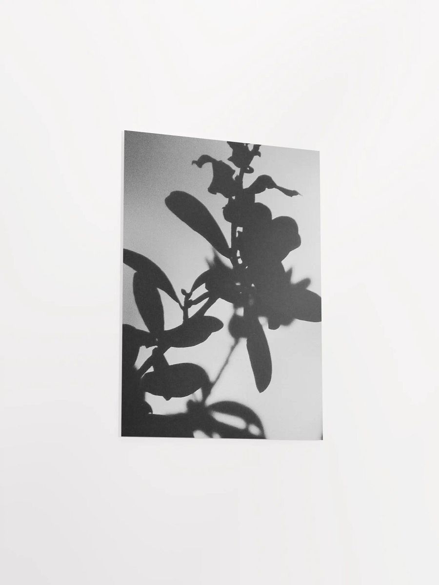Black & White Plant Glow product image (29)