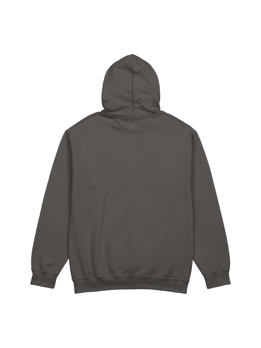 Empowered Women Classic Hoodie product image (2)