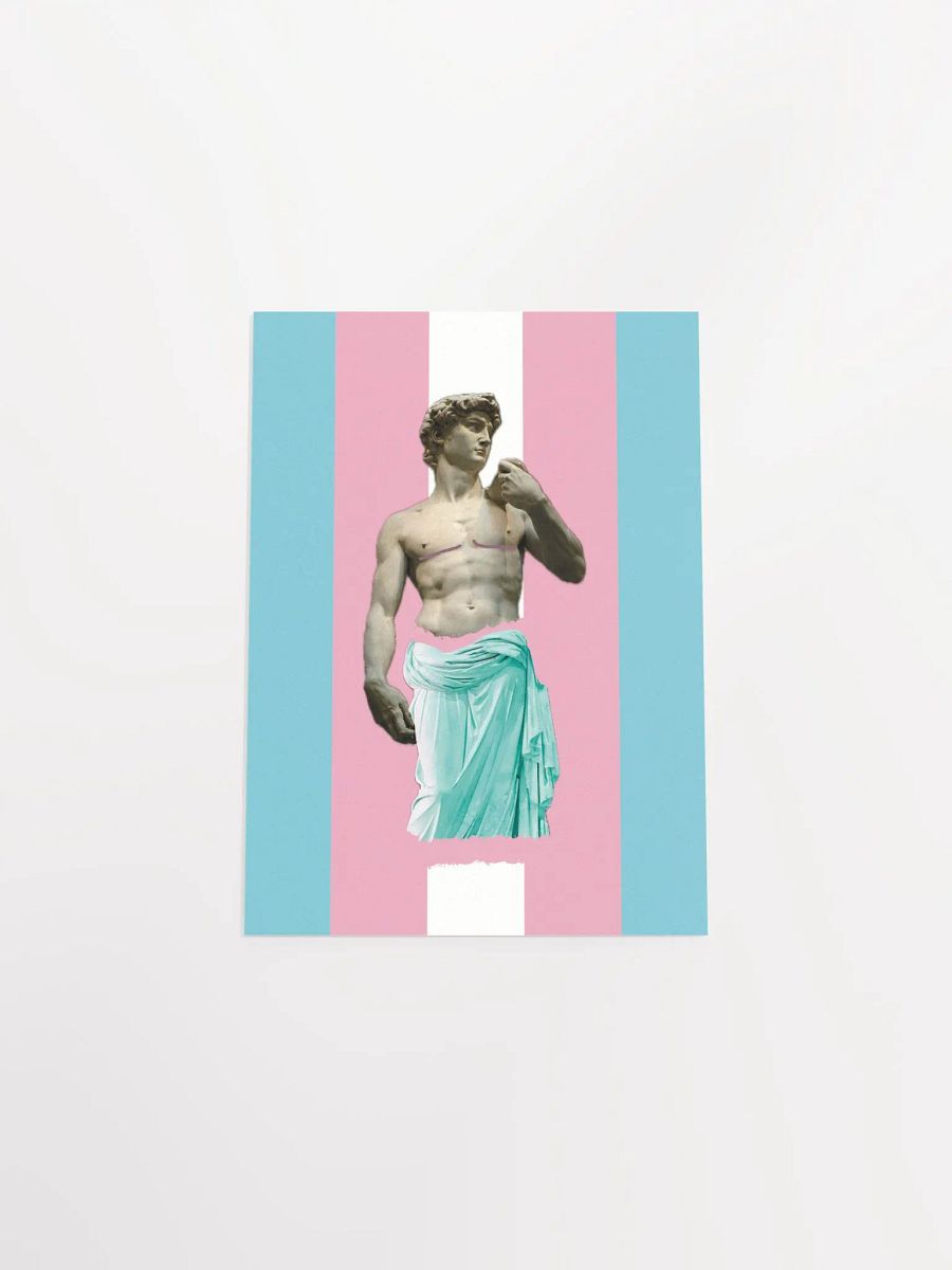 Trans Day of Visibility 1 Poster product image (4)