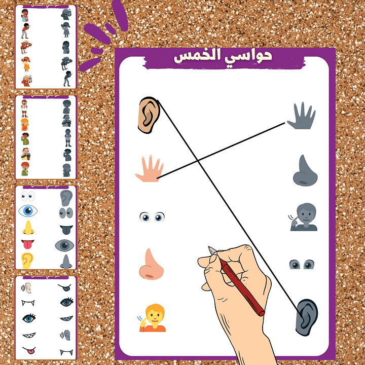 بطاقـــات ملوّنة | ملائمة صور حواسي الخمس للظل المناسب - pdf product image (2)