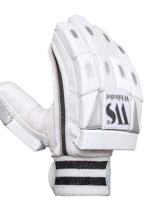 Whitedot Dot 1.0 Cricket Batting Gloves, product image (2)