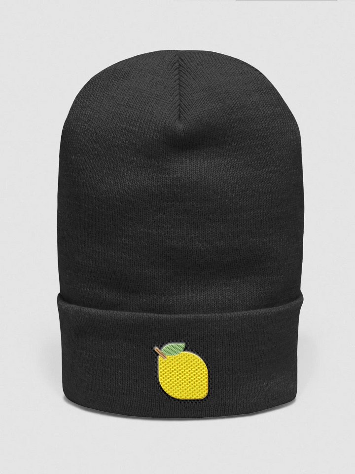 Lem Beenie product image (1)