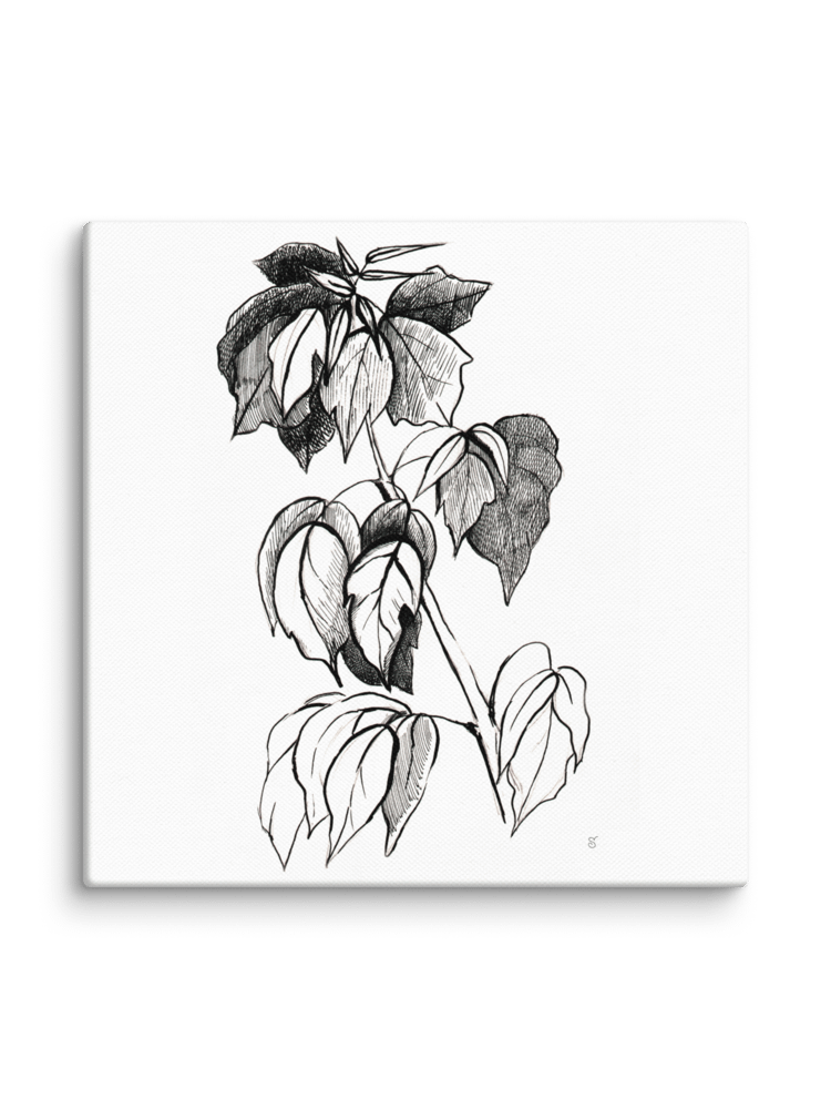 Botanical Line Art Canvas Print - Stylish Graphical Twig product image (2)