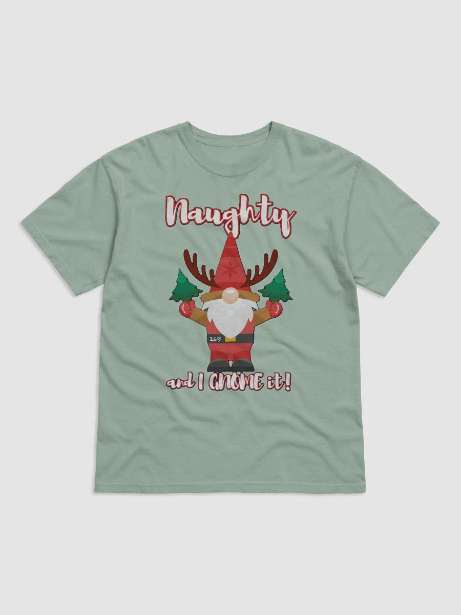 NAUGHTY AND I GNOME IT product image (1)