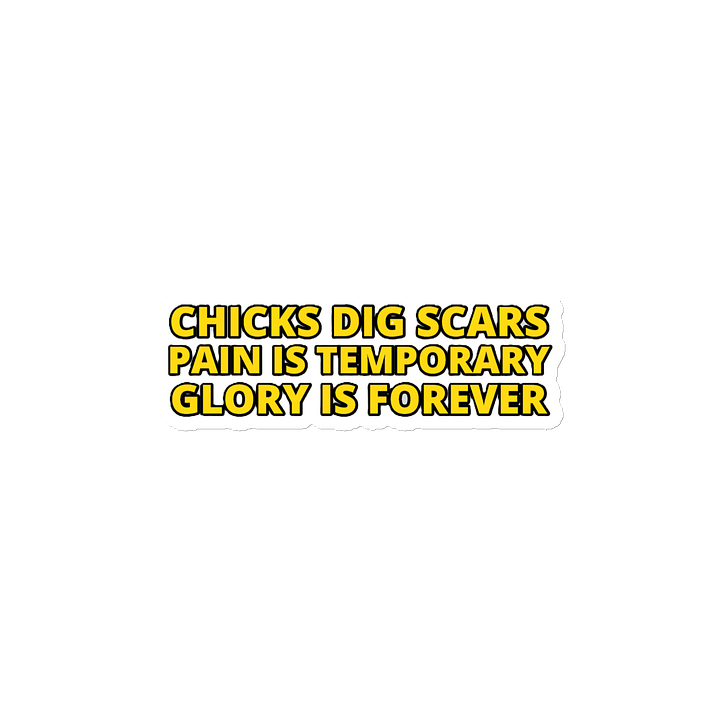 CHICKS DIG SCARS, PAIN IS TEMPORARY, GLORY IS FOREVER product image (2)